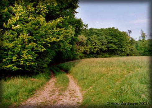Bild7